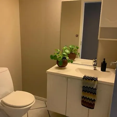 Sentrumsnaer Med 3 Soverom.