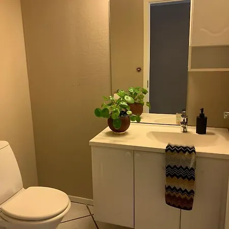 Apartman Sentrumsnaer Med 3 Soverom.