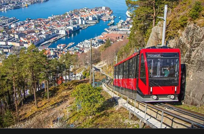 Sentrumsnaer Med 3 Soverom.